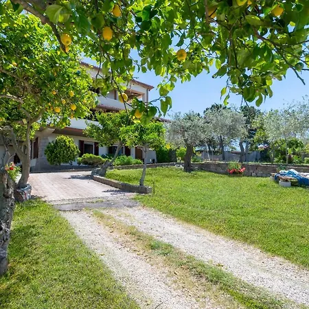 Vakantiehuis Silvia Sea View Of Capo Caccia, Surrounded By Centuries-old Olive Trees Alghero