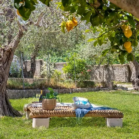 Silvia Sea View Of Capo Caccia, Surrounded By Centuries-old Olive Trees *
